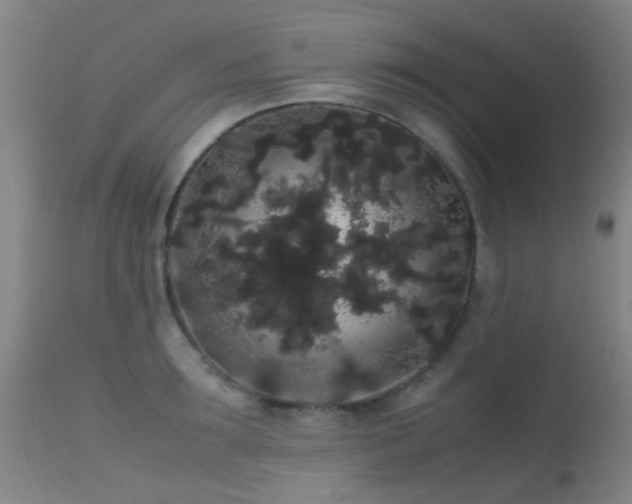 X0000113260899200909171647