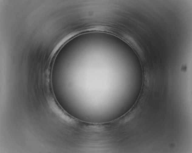 X0000113260900200909171647