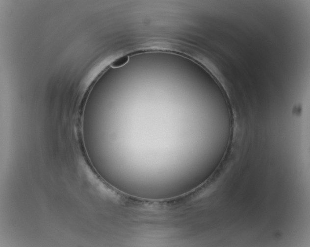 X0000113260901200909171647