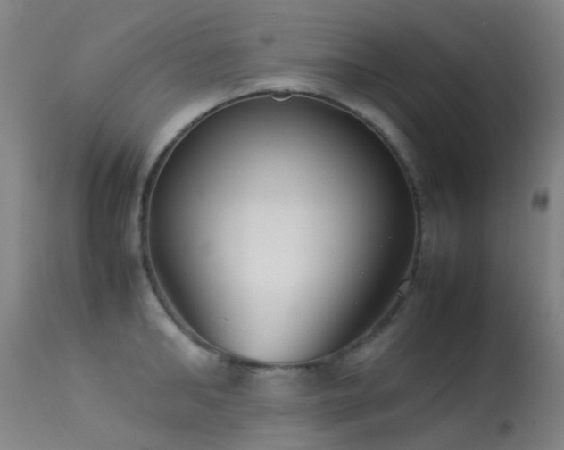 X0000113260902200909171647