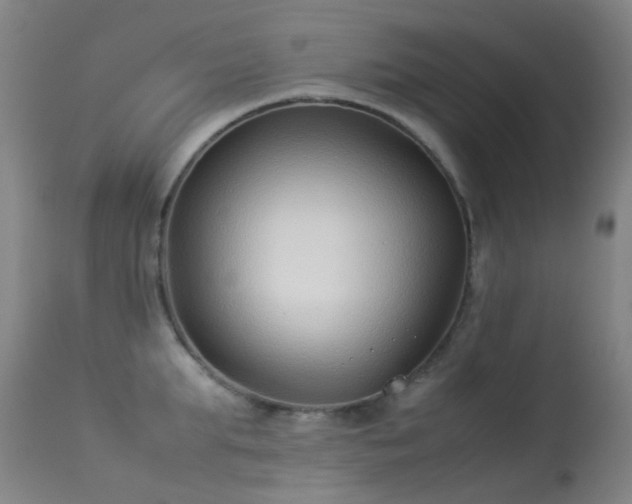 X0000113260903200909171647