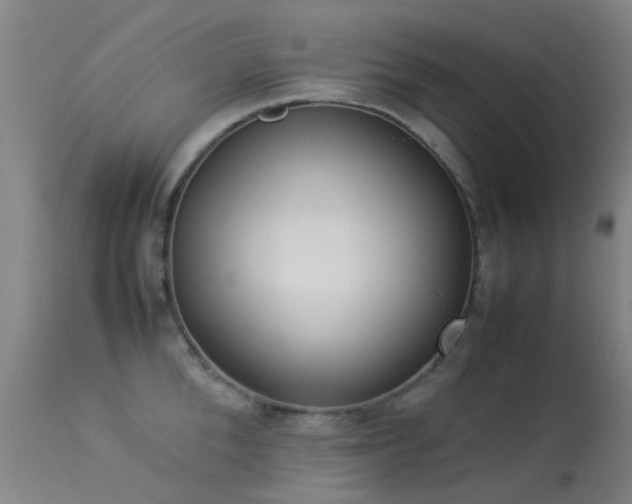 X0000113260904200909171647