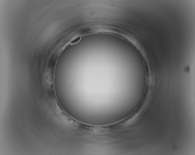 X0000113260905200909171647