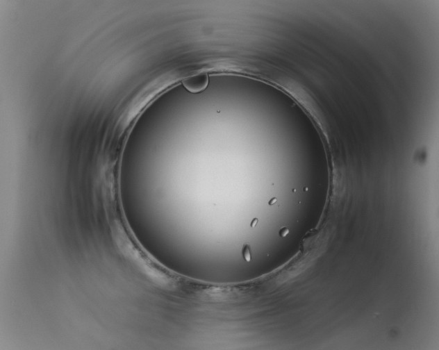 X0000113260906200909171647