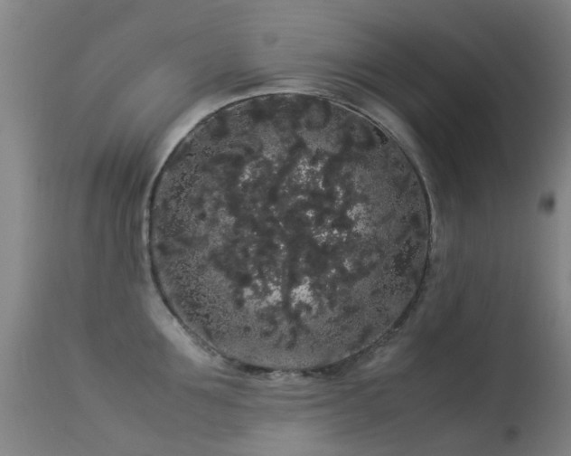 X0000113260907200909171647