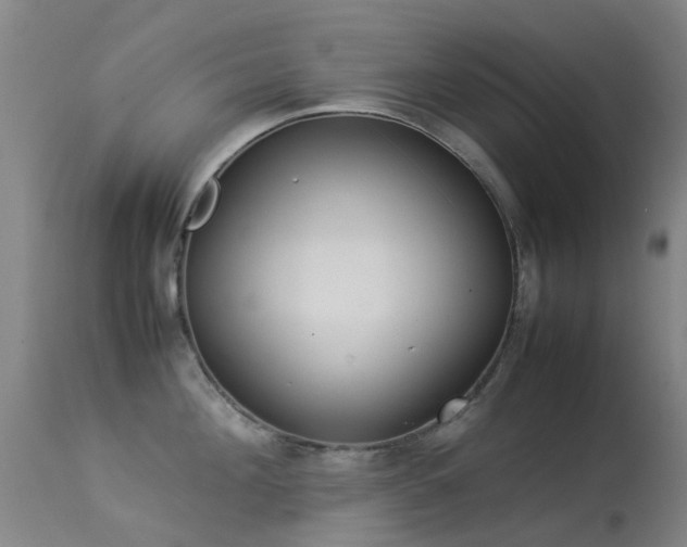 X0000113260908200909171647