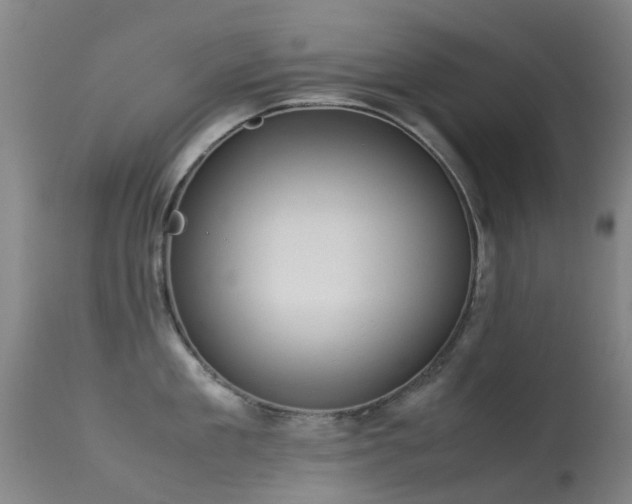 X0000113260909200909171646