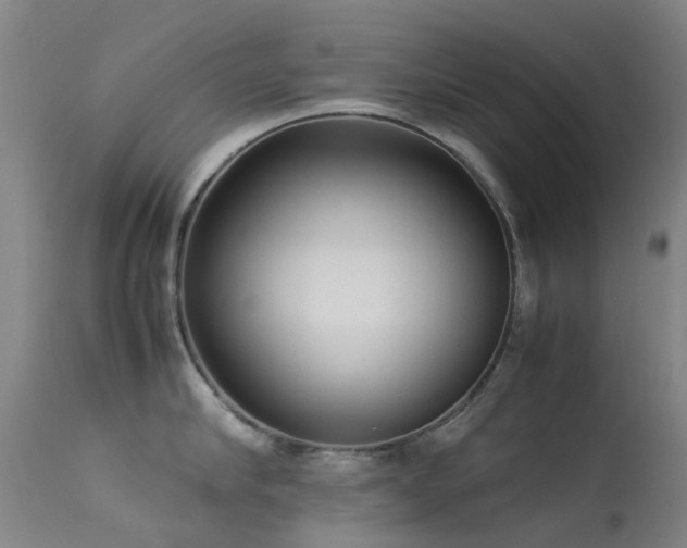 X0000113260910200909171646