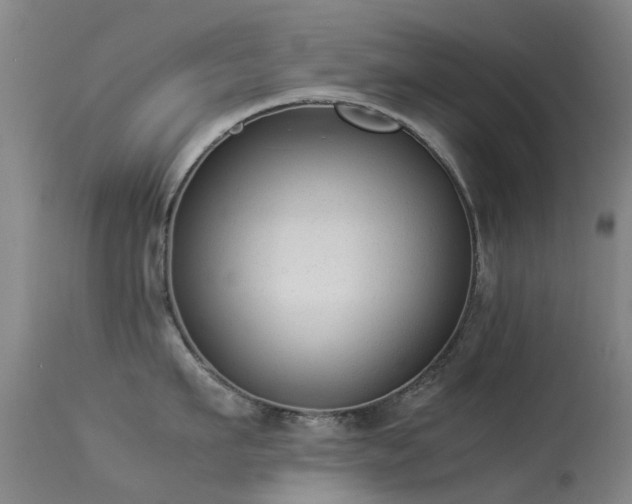 X0000113260911200909171646