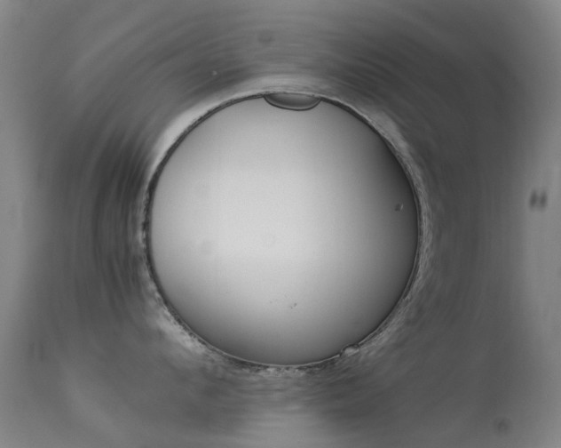 X0000113260912200909171646