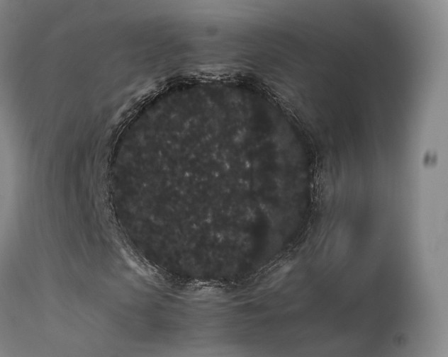 X0000113260913200909171646