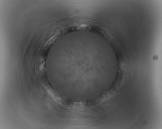 X0000113260914200909171646