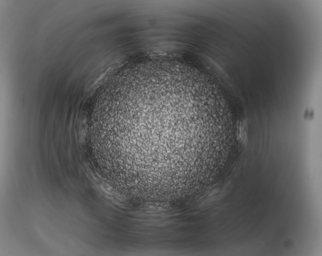 X0000113260915200909171646