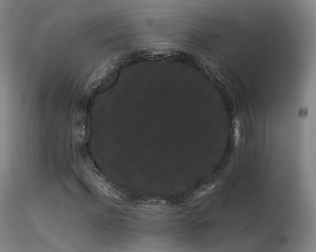 X0000113260916200909171646