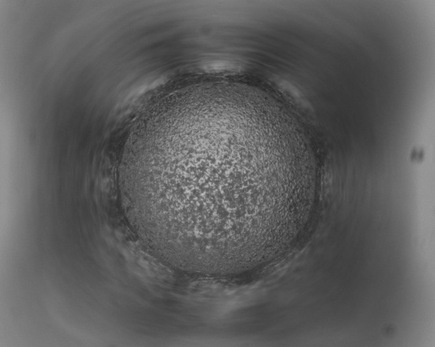 X0000113260917200909171646