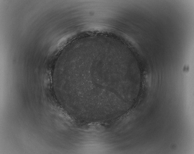 X0000113260918200909171646