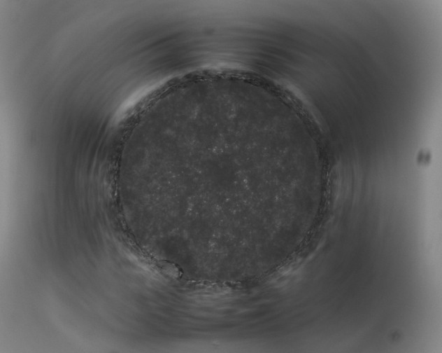 X0000113260919200909171646