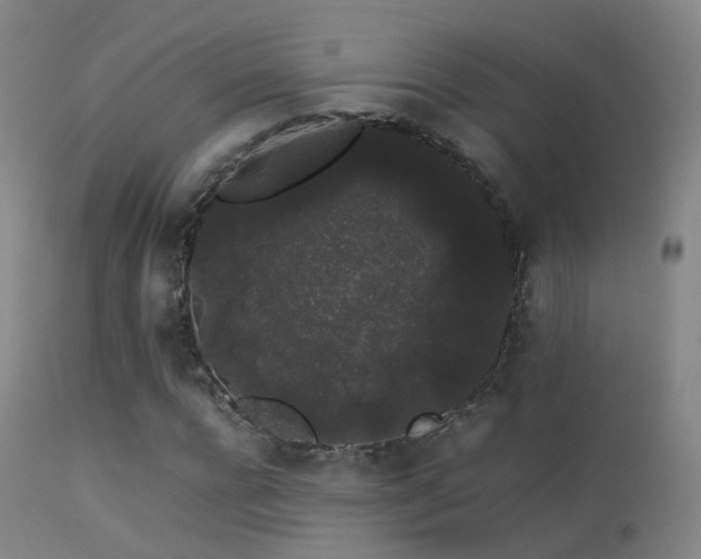 X0000113260920200909171646