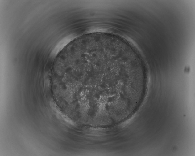 X0000113260921200909171646