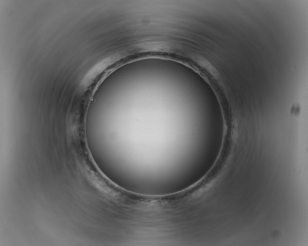 X0000113260922200909171646