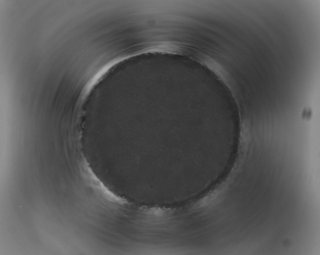 X0000113260923200909171646