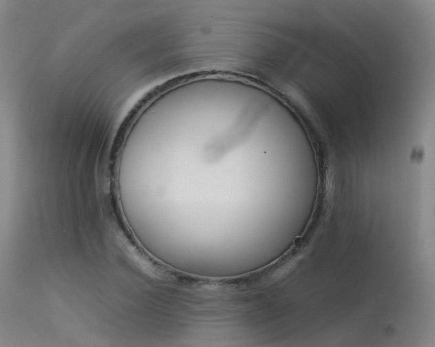 X0000113260924200909171646