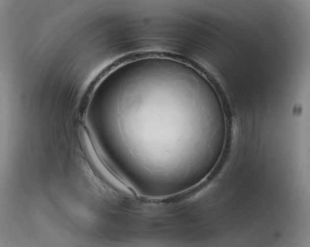 X0000113260925200909171646