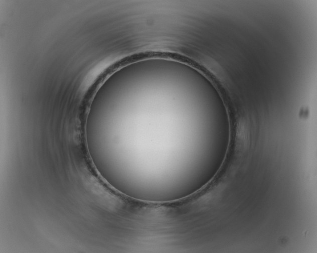 X0000113260926200909171646