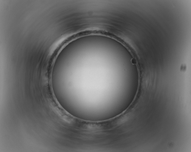 X0000113260927200909171646