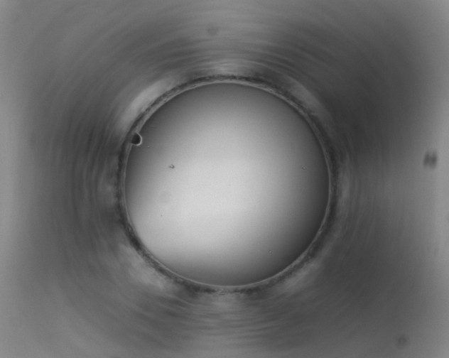 X0000113260930200909171646