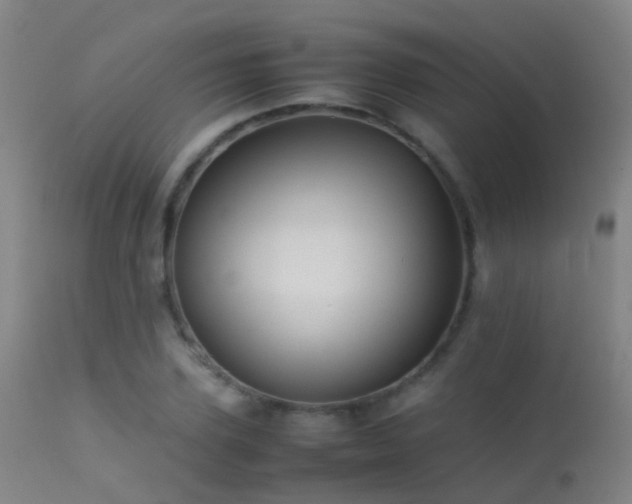 X0000113260931200909171646