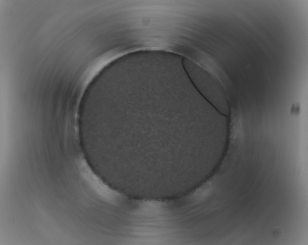 X0000113260932200909171646