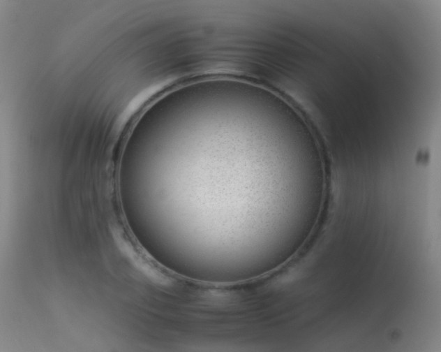 X0000113260933200909171646