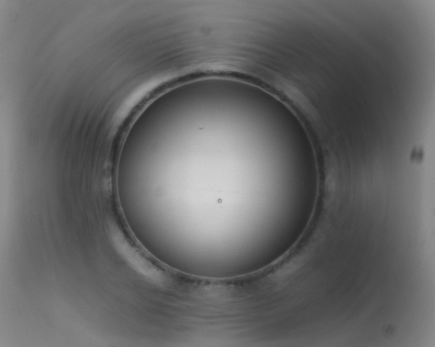 X0000113260934200909171646