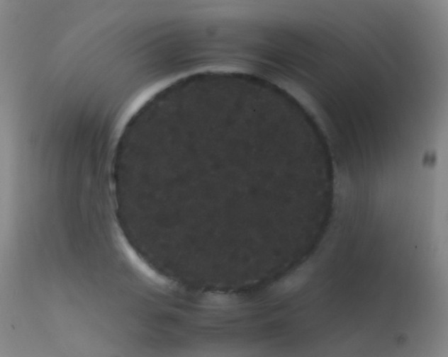 X0000113260935200909171646