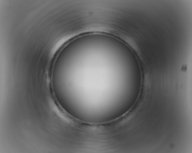 X0000113260936200909171646