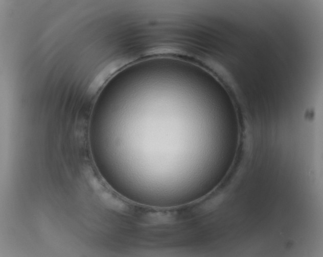 X0000113260937200909171646