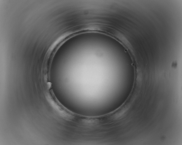 X0000113260939200909171646