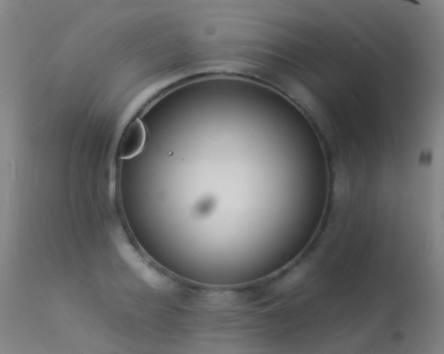 X0000113260940200909171646