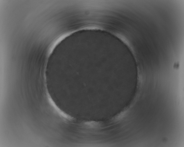 X0000113260943200909171646