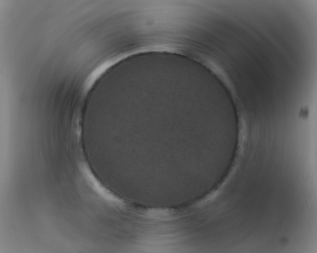 X0000113260944200909171646