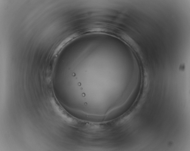 X0000113260945200909171646