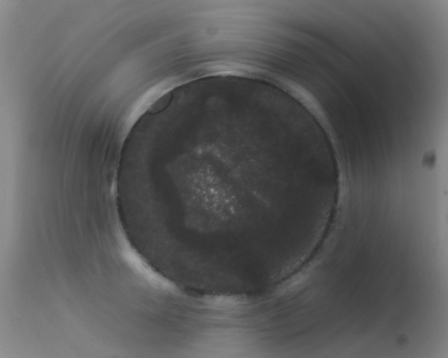 X0000113260946200909171646