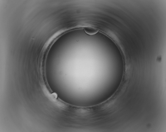 X0000113260947200909171646