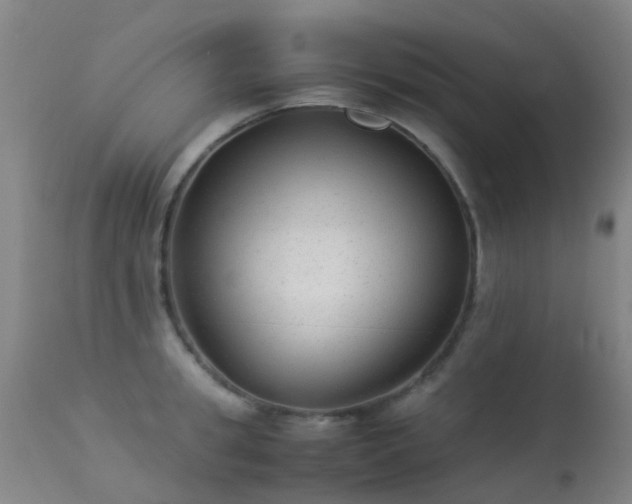 X0000113260949200909171646