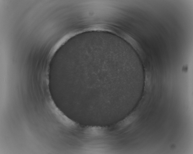 X0000113260950200909171646