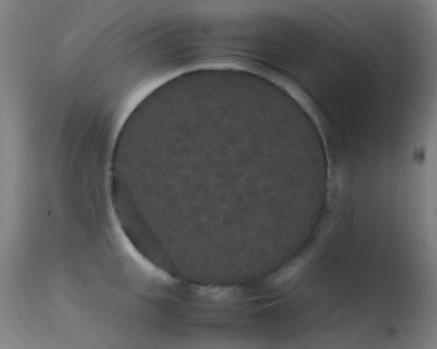 X0000113260951200909171646