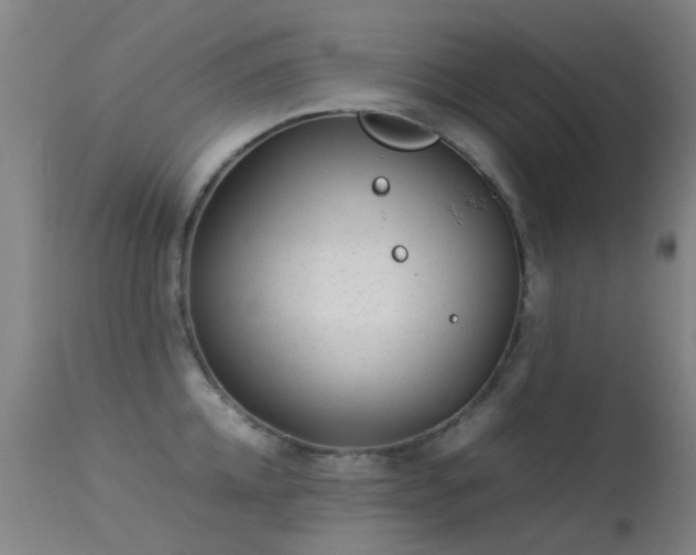 X0000113260952200909171646