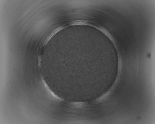 X0000113260953200909171646