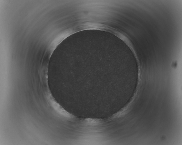 X0000113260954200909171646